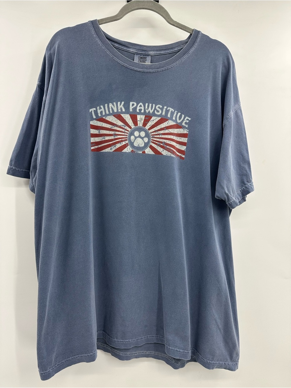 Comfort Colors Think Pawsitive Graphic Tee - Dusty Blue